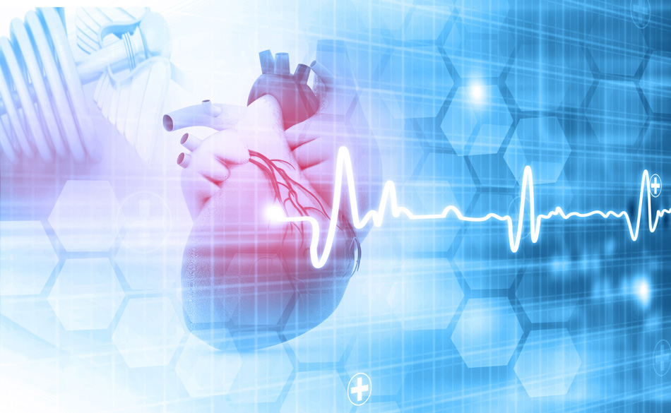 Dr. Gerhauser's Heart Disease Reset Protocol