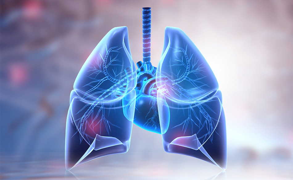 The M.D.’s Lung Protocol: Better Ways to Boost Lung Health